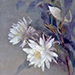 Masaru Matsumoto Gallery